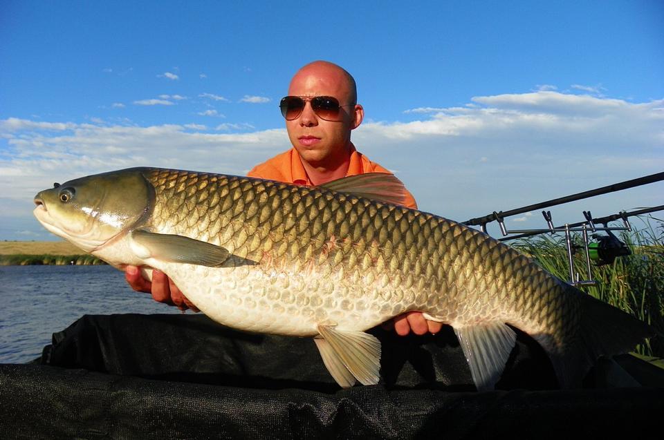 PONT pentru pescari! Reteta de seminte preparate
